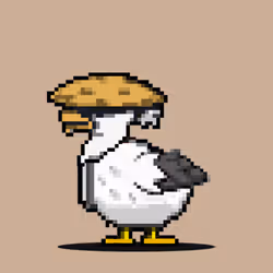 Duck #507