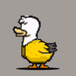 Duck #508