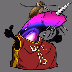 DFE #36