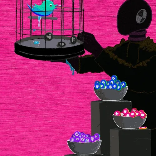 Bird Feed