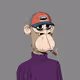 1955