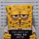 SpongeBob — “Bikini Bottom Breakdown”