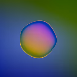 Floating World Genesis #45