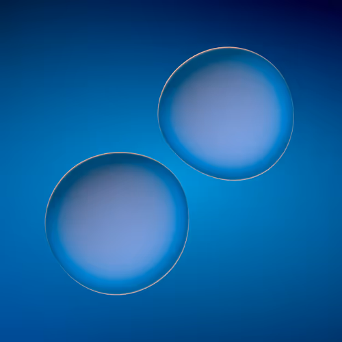 Floating World Genesis #219
