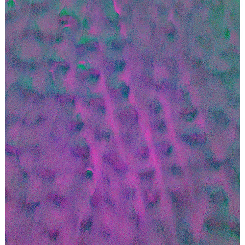 Generative Nature Art Sand