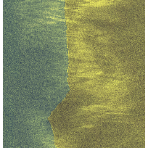 Generative Nature Art Sand