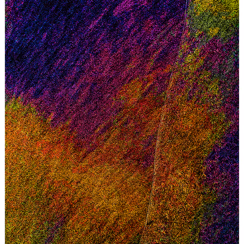 Generative Nature Art Sand