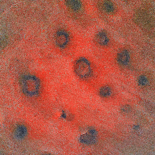 Generative Nature Art Sand