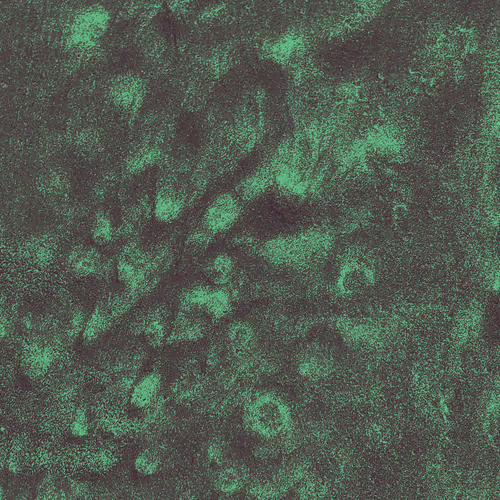 Generative Nature Art Sand
