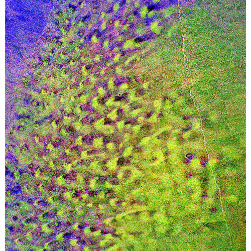 Generative Nature Art Sand