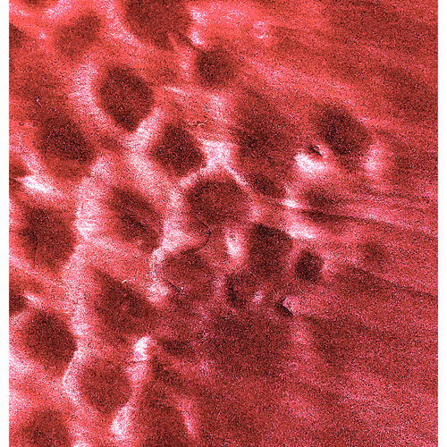 Generative Nature Art Sand