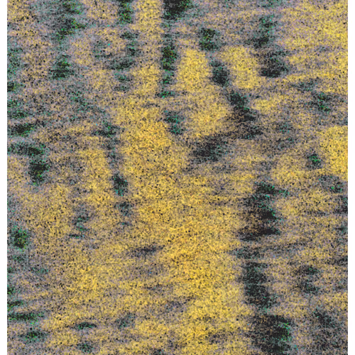 Generative Nature Art Sand