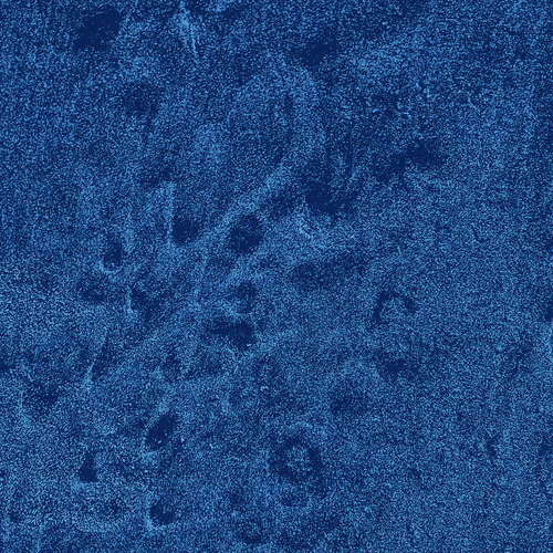 Generative Nature Art Sand