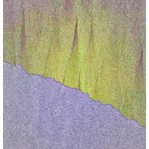 Generative Nature Art Sand