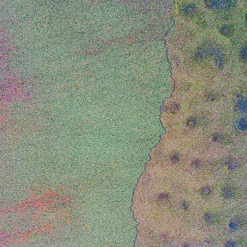 Generative Nature Art Sand