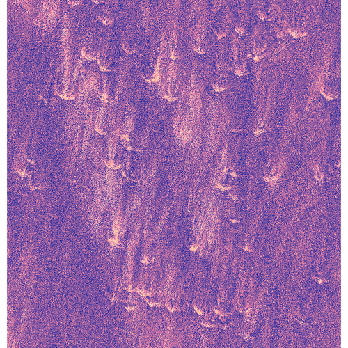Generative Nature Art Sand