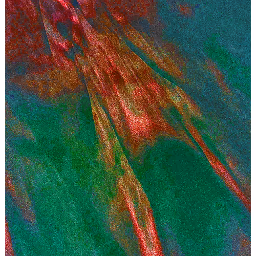 Generative Nature Art Sand