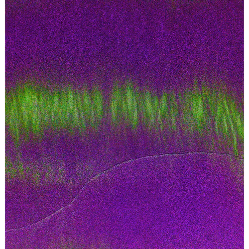Generative Nature Art Sand