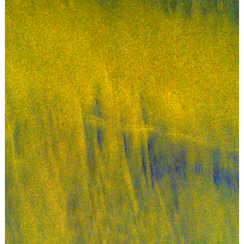 Generative Nature Art Sand