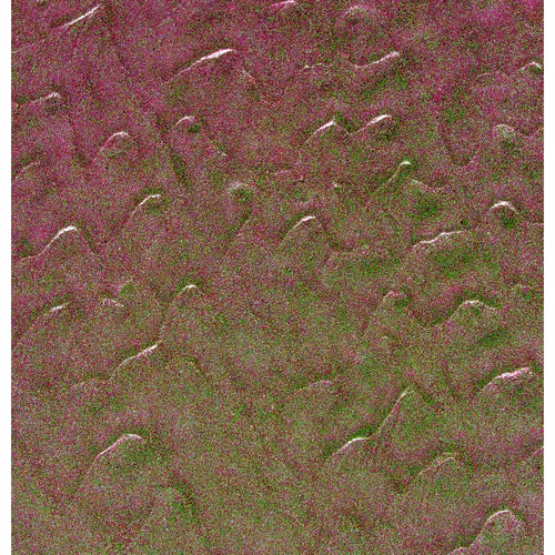 Generative Nature Art Sand