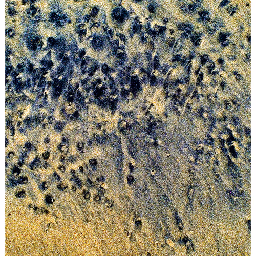Generative Nature Art Sand