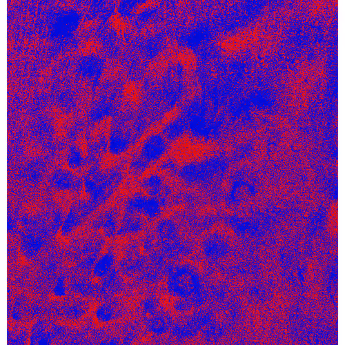 Generative Nature Art Sand