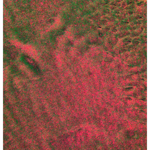 Generative Nature Art Sand