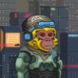 DystoApez #3250