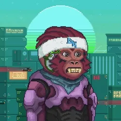DystoApez #138