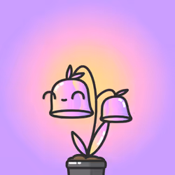 585