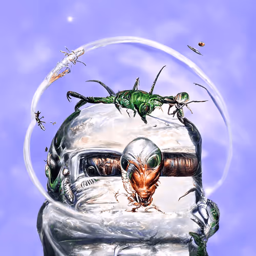 Ainightbirds