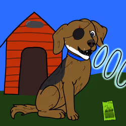 Dog #1309