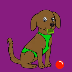 Dog #924