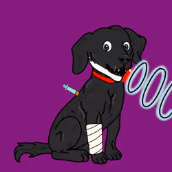 Dog #1321