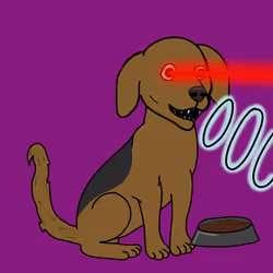 Dog #1421