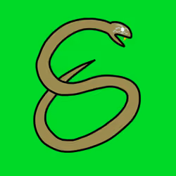Snake #4041