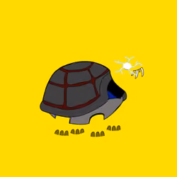 Turtle #5951