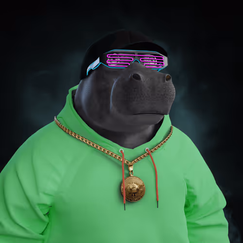 Hippo #4764