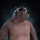 4564
