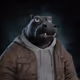 5031