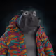 529