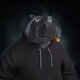 5169