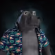 4662