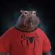 5241