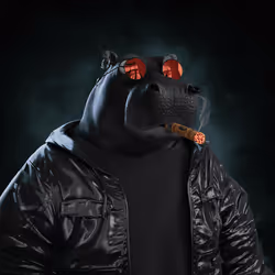 4036