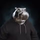 2726