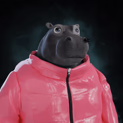 Hippo #5049