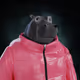 5049