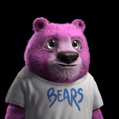 Crypto Bears By Cbs