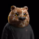 5293